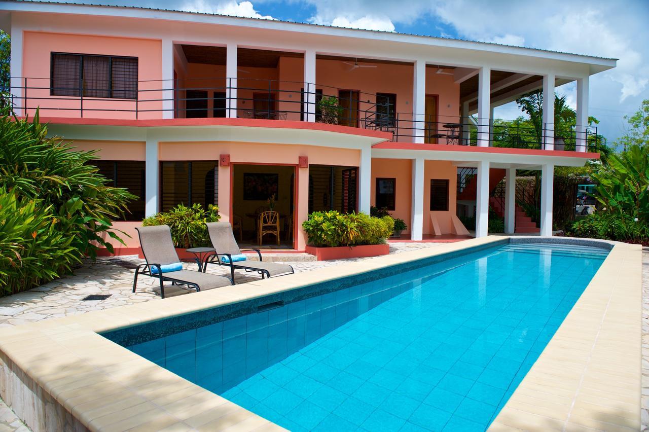 Coral House Bed & Breakfast Punta Gorda Exterior photo